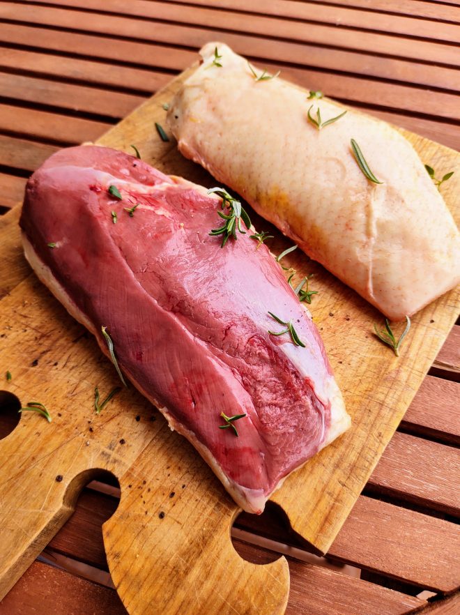 MAGRET de canard